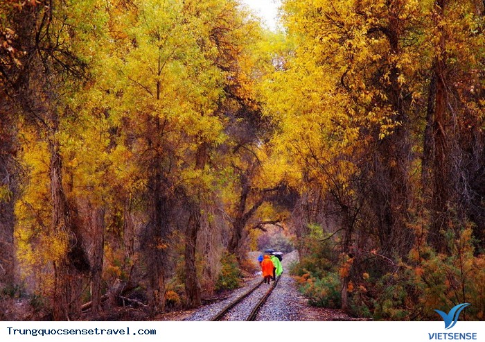 Thảo nguyên Tân Cương - một bức tranh tuyệt mỹ - Ảnh 10 Thảo nguyên Tân Cương - một bức tranh tuyệt mỹ - Ảnh 10