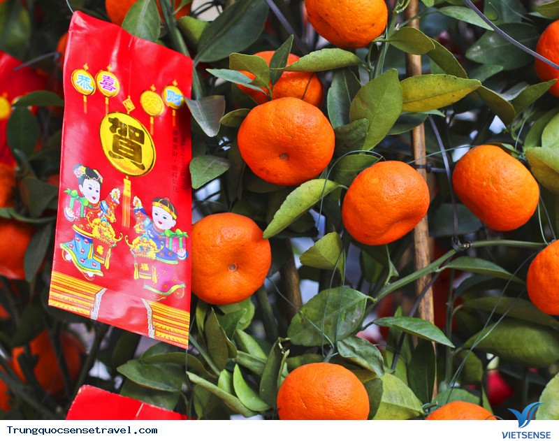 Trái cây may mắn Trái cây may mắn