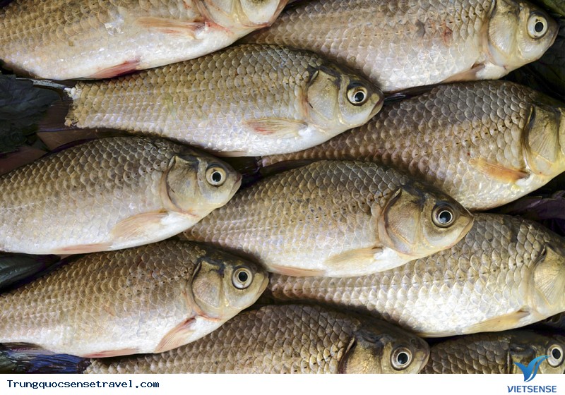 Cá – Sự thịnh vượng, Cá – Sự thịnh vượng,