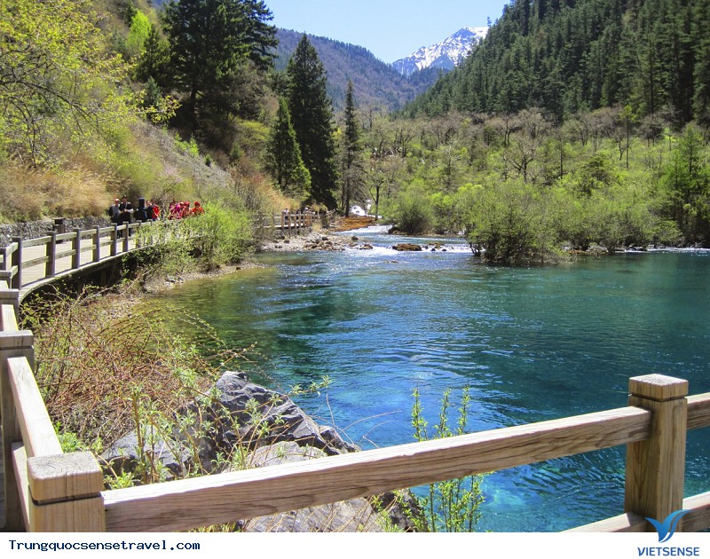 Cảnh đẹp Cửu Trại Câu - Ảnh 1