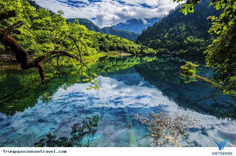 Cảnh đẹp Cửu Trại Câu - Ảnh 3