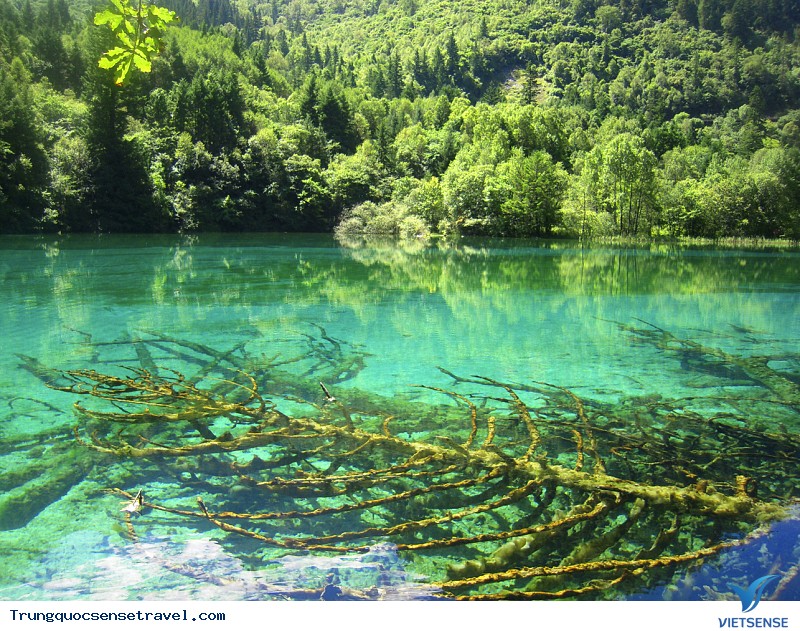 Cảnh đẹp Cửu Trại Câu - Ảnh 6