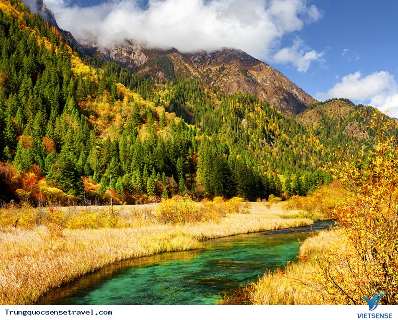 Cảnh đẹp Cửu Trại Câu - Ảnh 7