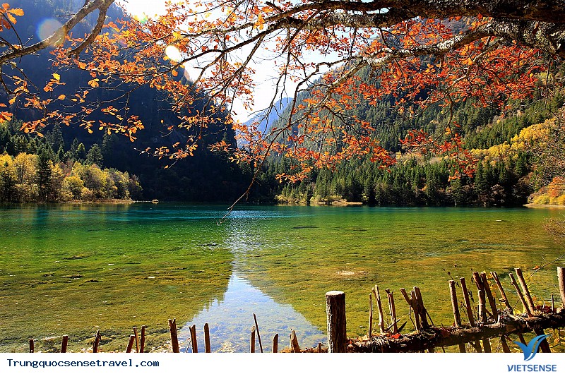 Cảnh đẹp Cửu Trại Câu - Ảnh 2