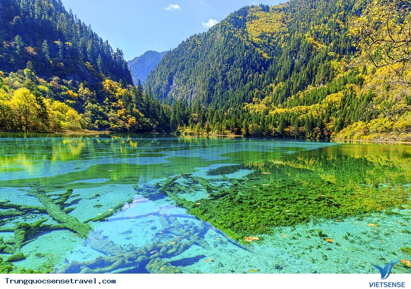 Cảnh đẹp Cửu Trại Câu - Ảnh 5