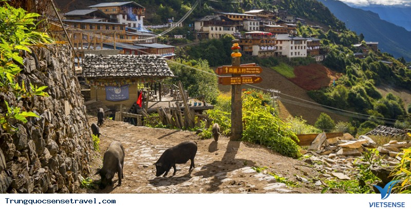 Nếu bạn thật sự muốn đến đây thật, thì hãy ghi nhớ những điều này. - Ảnh 3 Nếu bạn thật sự muốn đến đây thật, thì hãy ghi nhớ những điều này. - Ảnh 3