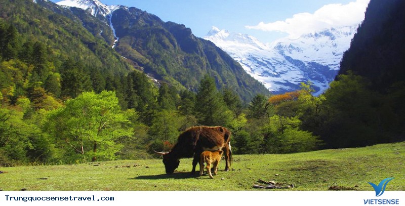 Nếu bạn thật sự muốn đến đây thật, thì hãy ghi nhớ những điều này. - Ảnh 4 Nếu bạn thật sự muốn đến đây thật, thì hãy ghi nhớ những điều này. - Ảnh 4