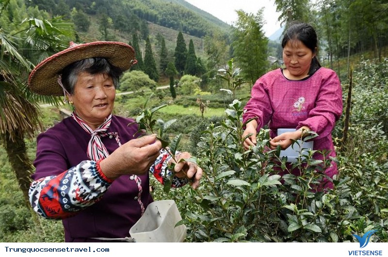 Vì sao lại có những bí kíp này - Ảnh 2