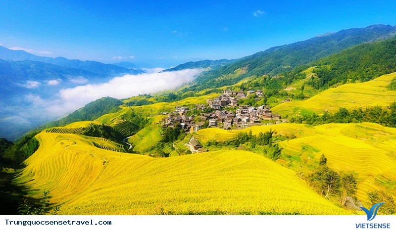 Ngắm nhìn rừng vàng biển đỏ với mùa Thu Vàng ở Trung Quốc, điểm hẹn 2025 - Ảnh 8 Ngắm nhìn rừng vàng biển đỏ với mùa Thu Vàng ở Trung Quốc, điểm hẹn 2025 - Ảnh 8