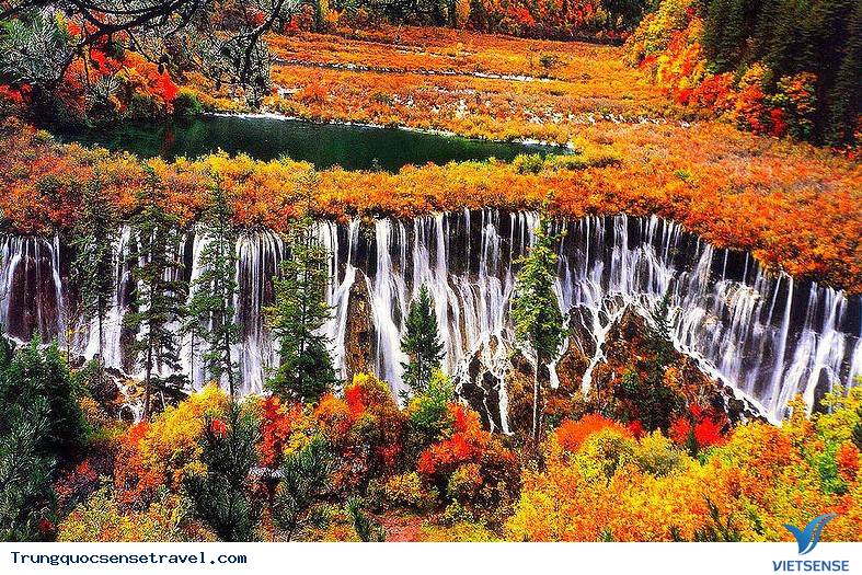 Ngắm nhìn rừng vàng biển đỏ với mùa Thu Vàng ở Trung Quốc, điểm hẹn 2025 - Ảnh 3 Ngắm nhìn rừng vàng biển đỏ với mùa Thu Vàng ở Trung Quốc, điểm hẹn 2025 - Ảnh 3