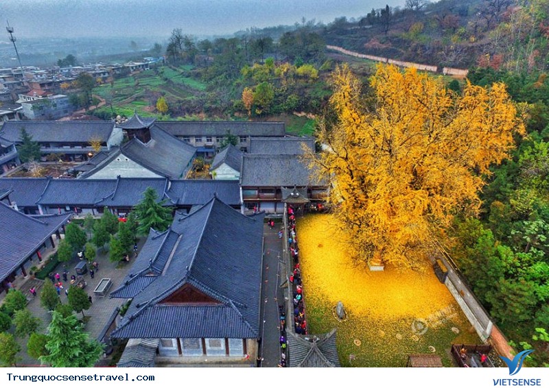 Ngắm nhìn rừng vàng biển đỏ với mùa Thu Vàng ở Trung Quốc, điểm hẹn 2025 - Ảnh 10 Ngắm nhìn rừng vàng biển đỏ với mùa Thu Vàng ở Trung Quốc, điểm hẹn 2025 - Ảnh 10