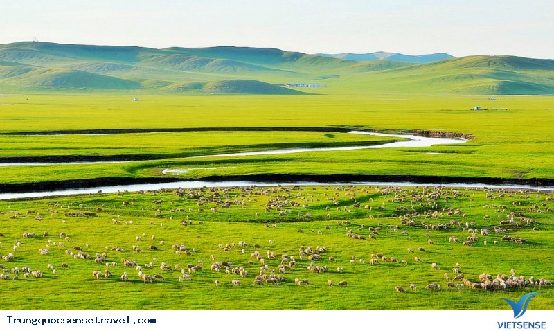 Những đồng cỏ đẹp nhất ở Trung Quốc, 2018 - Ảnh 7 Những đồng cỏ đẹp nhất ở Trung Quốc, 2018 - Ảnh 7