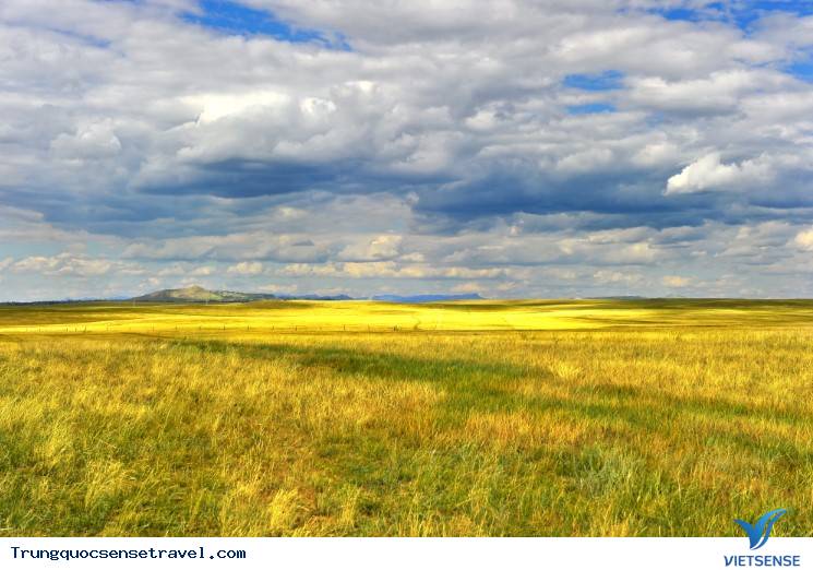 Những đồng cỏ đẹp nhất ở Trung Quốc, 2018 - Ảnh 5 Những đồng cỏ đẹp nhất ở Trung Quốc, 2018 - Ảnh 5