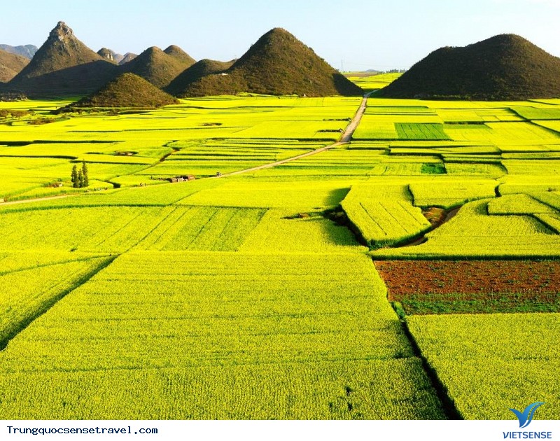 Những đồng cỏ đẹp nhất ở Trung Quốc, 2018 - Ảnh 1 Những đồng cỏ đẹp nhất ở Trung Quốc, 2018 - Ảnh 1