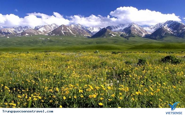 Những đồng cỏ đẹp nhất ở Trung Quốc, 2018 - Ảnh 6 Những đồng cỏ đẹp nhất ở Trung Quốc, 2018 - Ảnh 6