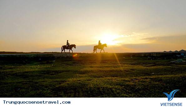 Những đồng cỏ đẹp nhất ở Trung Quốc, 2018 - Ảnh 9 Những đồng cỏ đẹp nhất ở Trung Quốc, 2018 - Ảnh 9