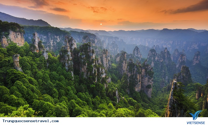 Công viên rừng quốc gia Trương Gia Giới: