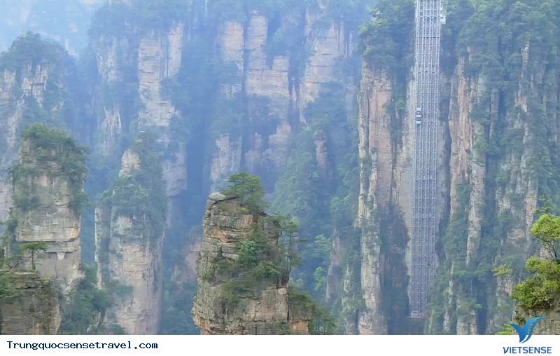 Thang máy Trương Gia Giới