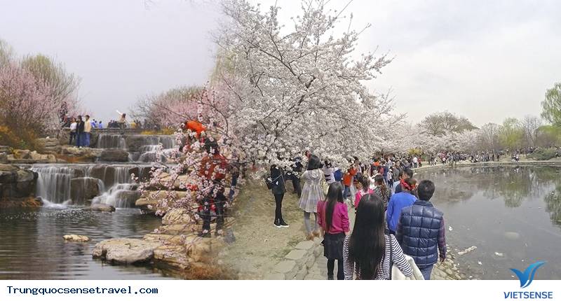 Thượng Hải - Bắc Kinh - Hàng Châu - Tô Châu - 7 Ngày - 2025