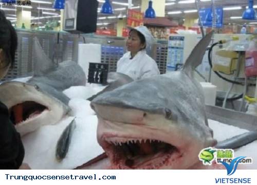 Bất ngờ tới ngỡ ngàng trước đồ Trung Quốc - Ảnh 9