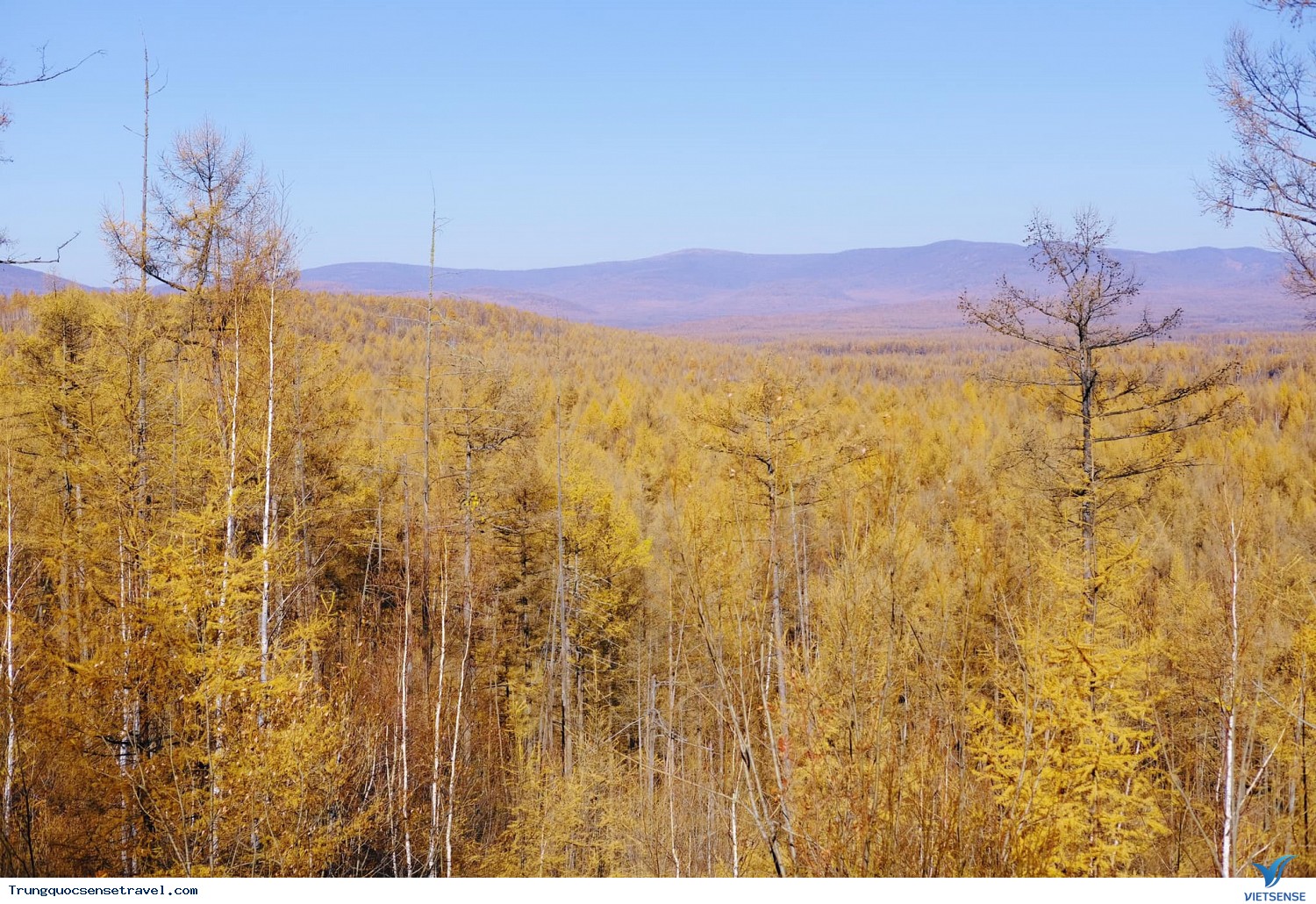 A Nhĩ Sơn như nàng thơ giữa miền đông bắc Nội Mông - Ảnh 1 A Nhĩ Sơn như nàng thơ giữa miền đông bắc Nội Mông - Ảnh 1