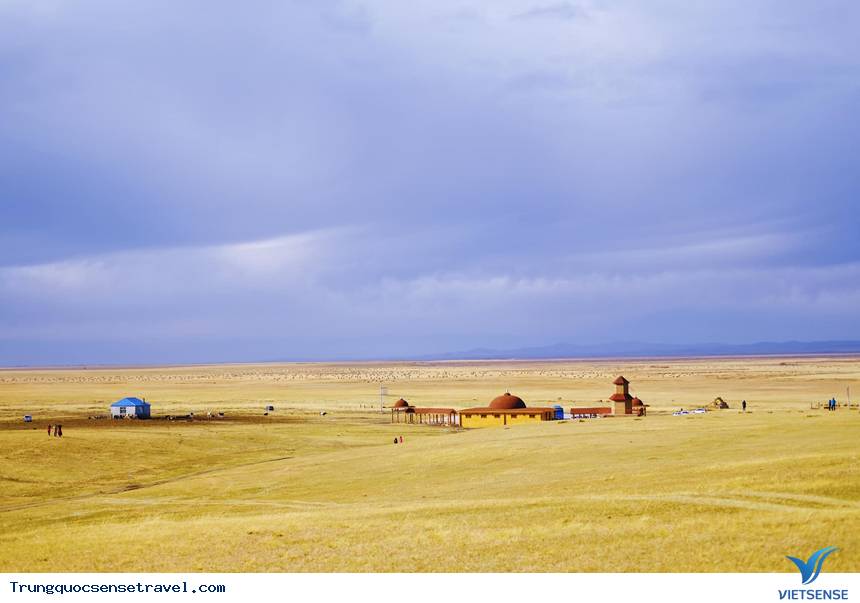 Tấm thảm vàng của cỏ úa nơi thảo nguyên Hô Luân Bối Nhĩ - Ảnh 1 Tấm thảm vàng của cỏ úa nơi thảo nguyên Hô Luân Bối Nhĩ - Ảnh 1