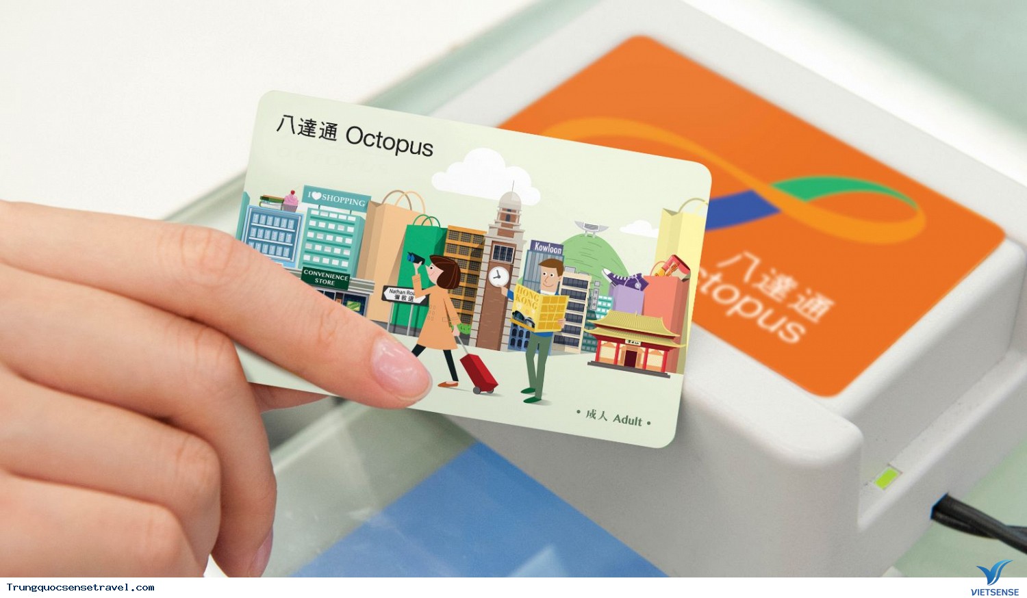 Các phương tiện di chuyển trong nội thành Hồng Kông - Ảnh 2