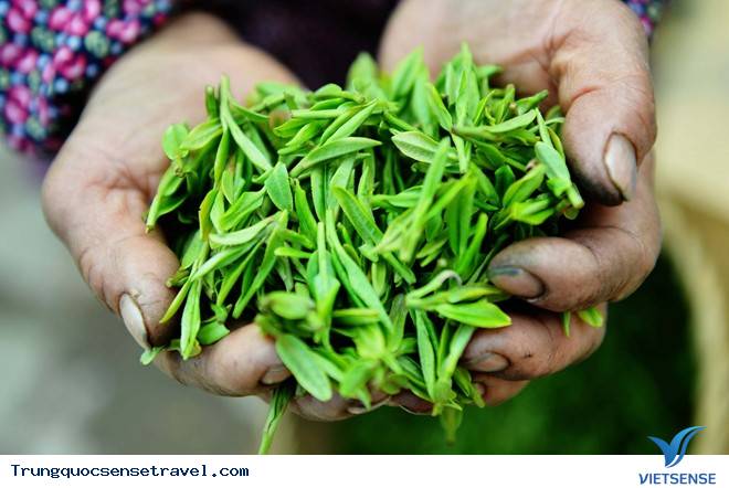 Chảy nước miếng với những món Trung Quốc ngon hết xẩy - Ảnh 13 Chảy nước miếng với những món Trung Quốc ngon hết xẩy - Ảnh 13