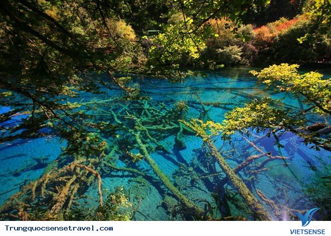 Chốn thiên đường Cửu Trại Câu vào mùa đẹp nhất năm - Ảnh 9 Chốn thiên đường Cửu Trại Câu vào mùa đẹp nhất năm - Ảnh 9