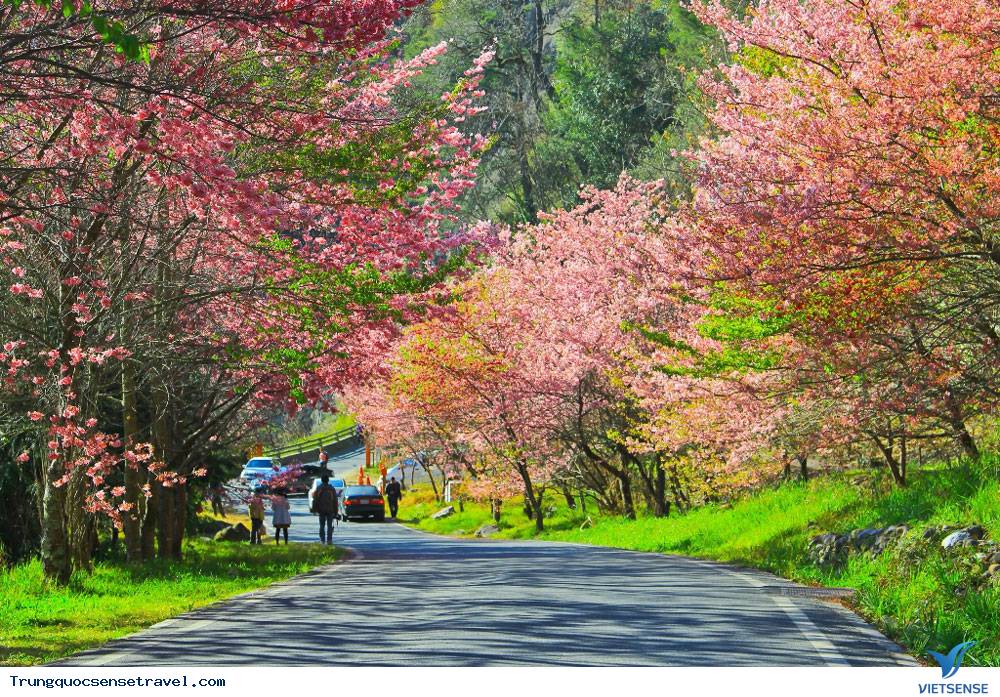 Công viên Dương Minh Sơn