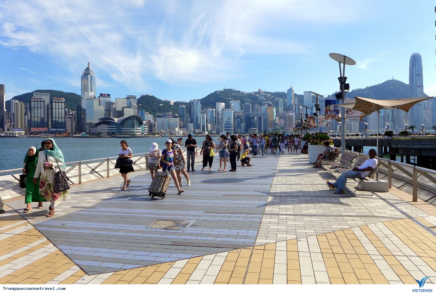 Đại lộ ngôi sao - Ảnh 2