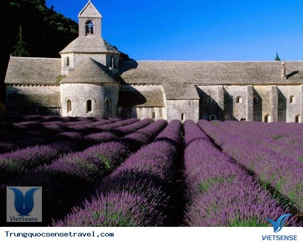 Vùng Provence Vùng Provence