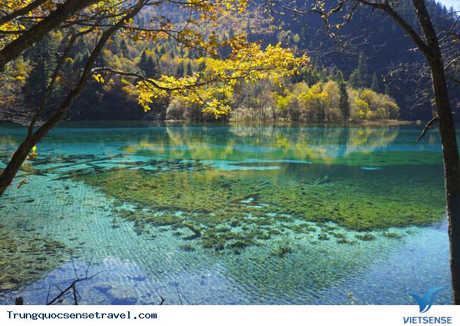 Ghé thăm tiên cảnh Cửu Trại Câu - Ảnh 8 Ghé thăm tiên cảnh Cửu Trại Câu - Ảnh 8