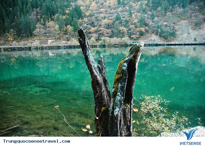 Ghé thăm tiên cảnh Cửu Trại Câu - Ảnh 4 Ghé thăm tiên cảnh Cửu Trại Câu - Ảnh 4