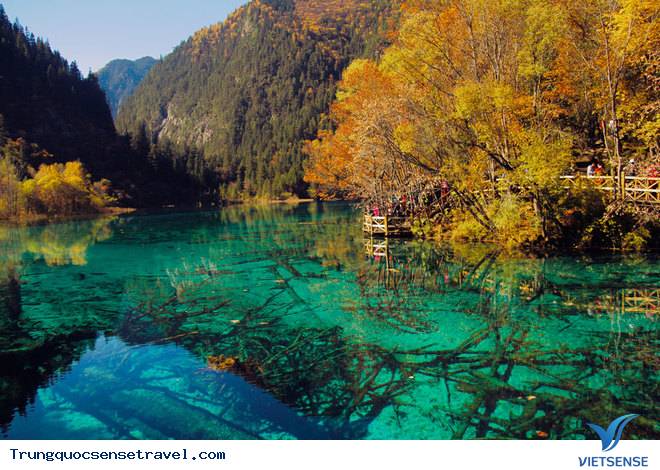 Ghé thăm tiên cảnh Cửu Trại Câu - Ảnh 2 Ghé thăm tiên cảnh Cửu Trại Câu - Ảnh 2