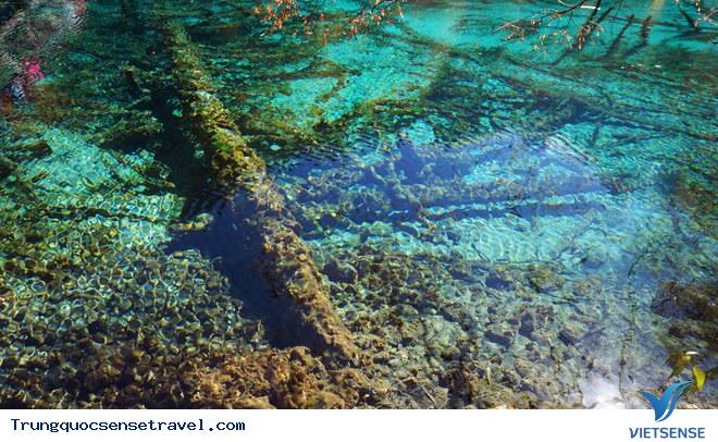 Ghé thăm tiên cảnh Cửu Trại Câu - Ảnh 5 Ghé thăm tiên cảnh Cửu Trại Câu - Ảnh 5