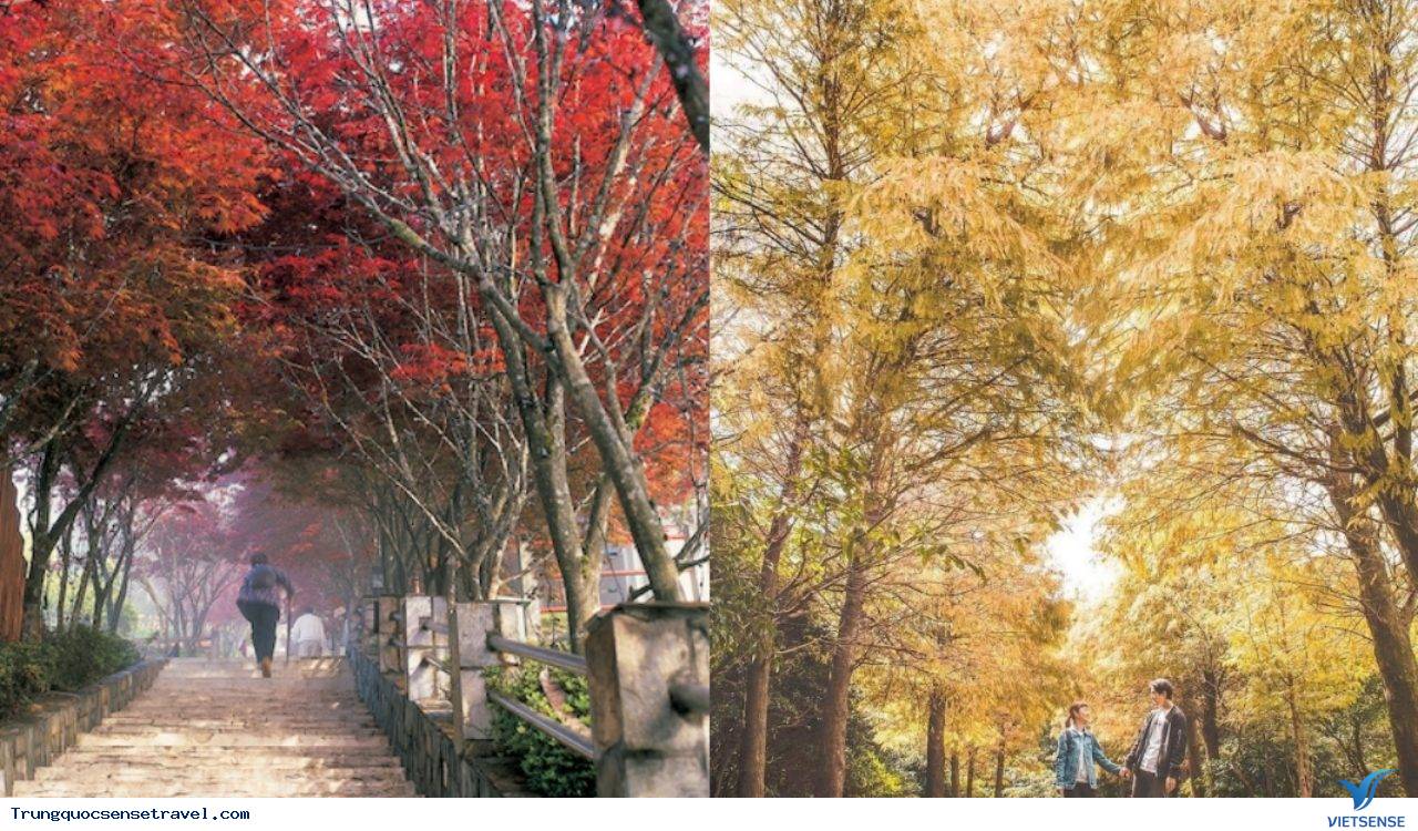 Giới thiệu chung về thời tiết Đài Loan tháng 11