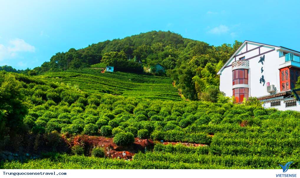 Hàng Châu - Trung Quốc - Ảnh 6