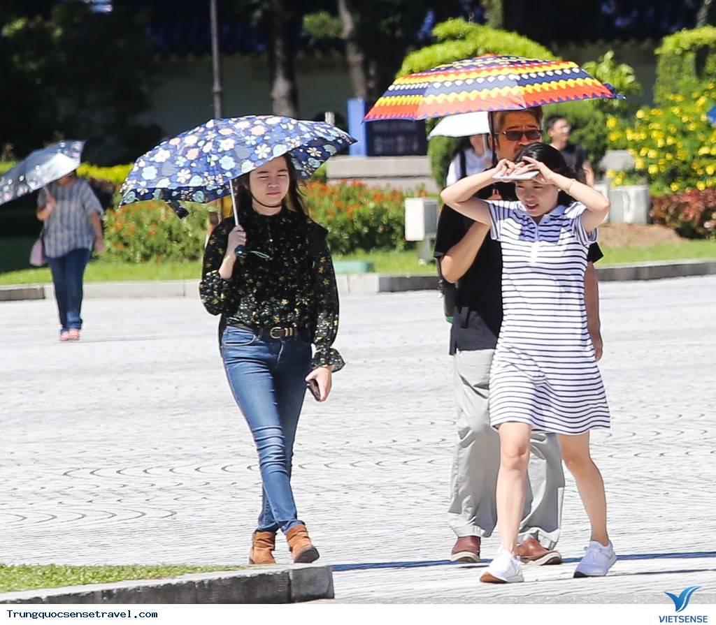 Hành lý gồm những gì? Hành lý gồm những gì?