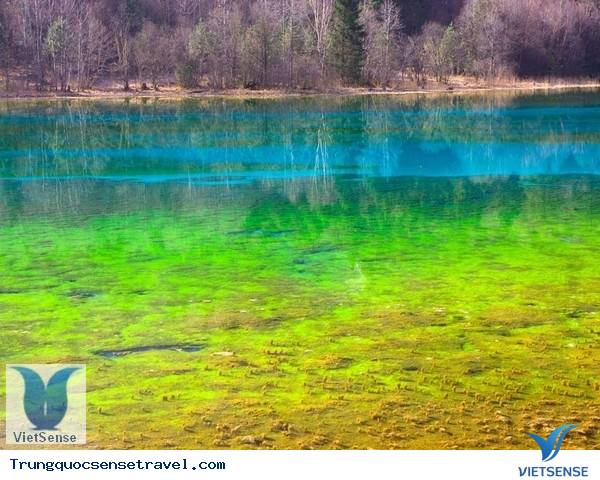 hành trình trung quốc hành trình trung quốc
