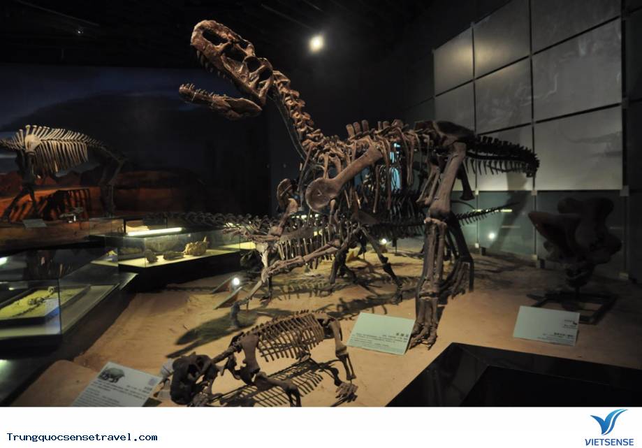 Khám phá Turpan - Thung lũng nho và một nền văn minh cổ đại - Ảnh 6 Khám phá Turpan - Thung lũng nho và một nền văn minh cổ đại - Ảnh 6