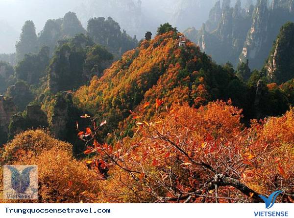 Khu thắng cảnh Vũ Lăng Nguyên