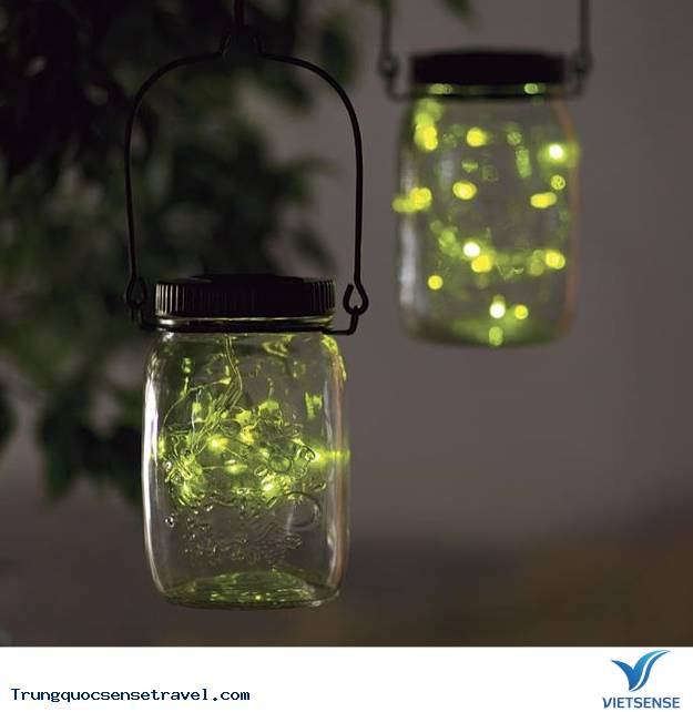 Lạc mình vào vườn đom đóm ở Thượng Hải - Ảnh 3