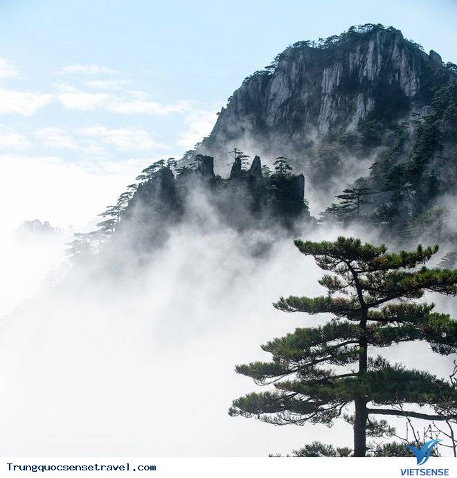 Lễ hội cắm trại trên độ cao 1000m tại Trung Quốc - Ảnh 5