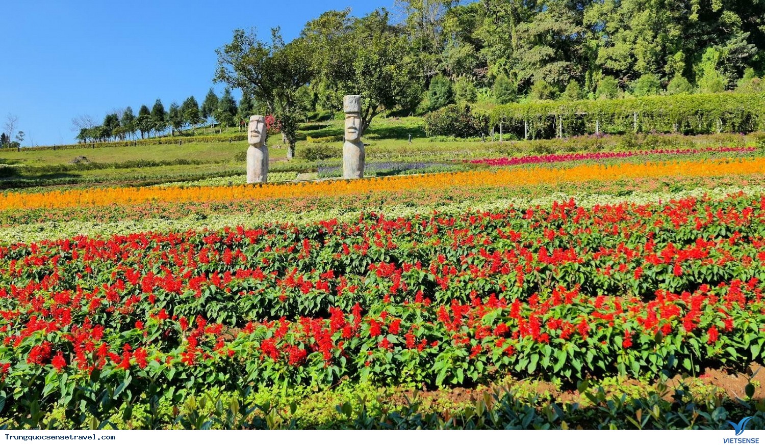 Lễ hội hoa Ta Shee Blooming Oasis