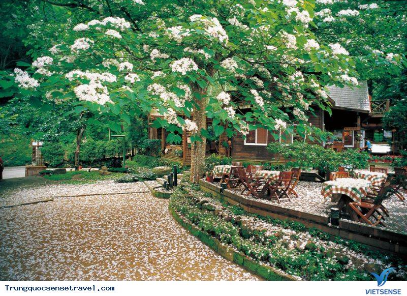 LỄ HỘI HOA TUNG HAKKA LỄ HỘI HOA TUNG HAKKA