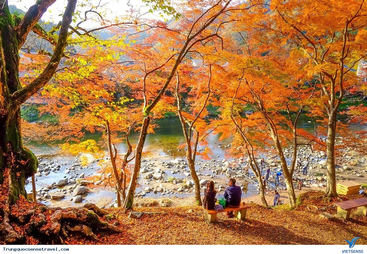 Mùa Thu Hồng Kông Mùa Thu Hồng Kông