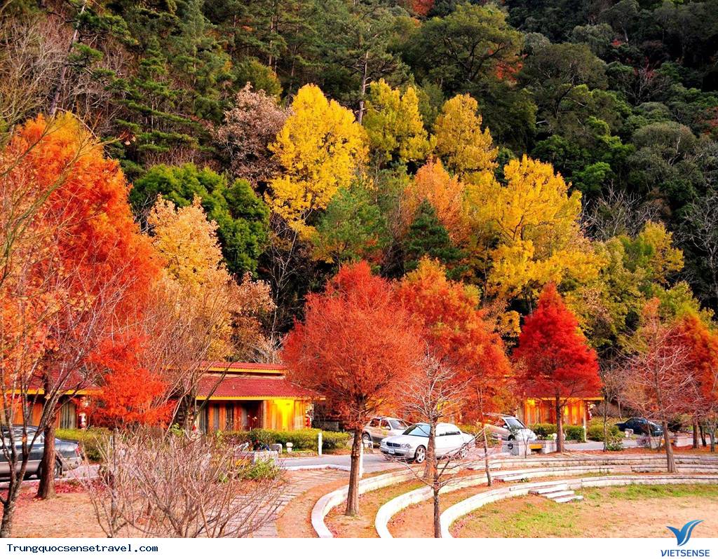 Mùa Thu ở Đài Loan Mùa Thu ở Đài Loan