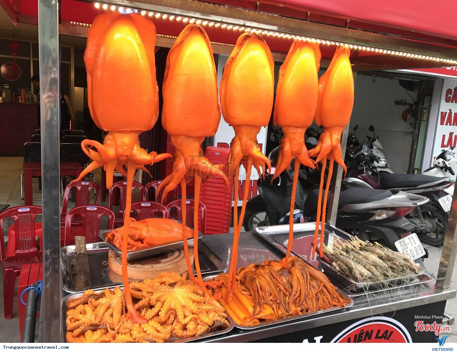 Mực khổng lồ Hồng Kông Mực khổng lồ Hồng Kông