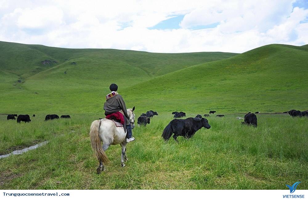 Trung Quốc Đẹp Nhất Vào Thời Gian Nào Trong Năm? - Ảnh 2